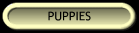 Puppies